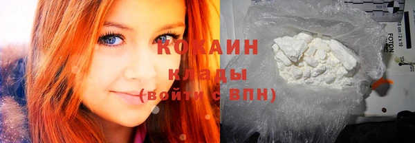 индика Новозыбков