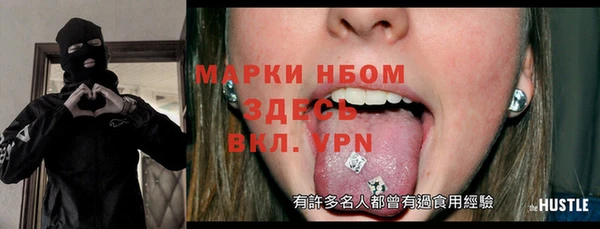 индика Новозыбков