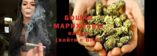 индика Новозыбков
