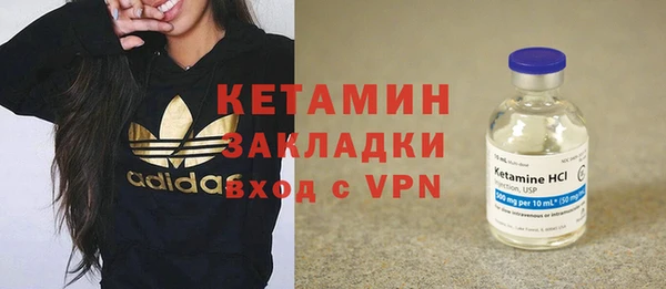 индика Новозыбков