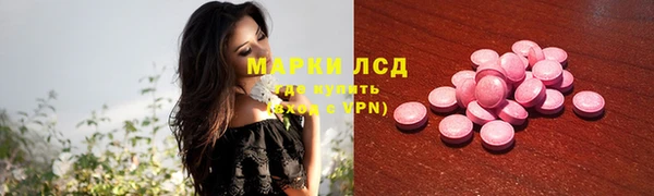 индика Новозыбков