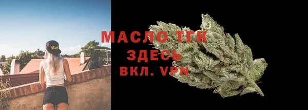 индика Новозыбков