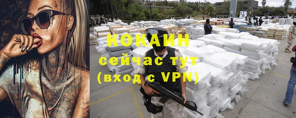 индика Новозыбков