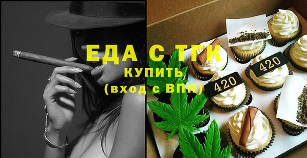 индика Новозыбков