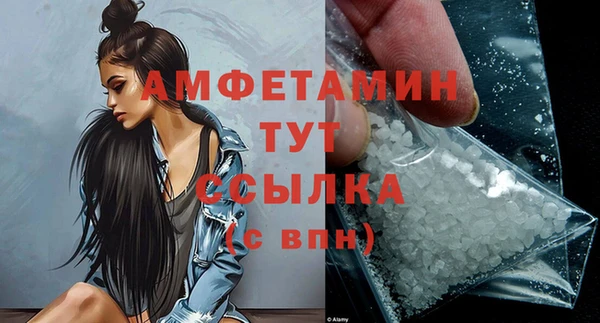 индика Новозыбков