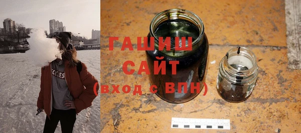 индика Новозыбков