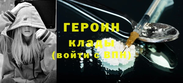 индика Новозыбков