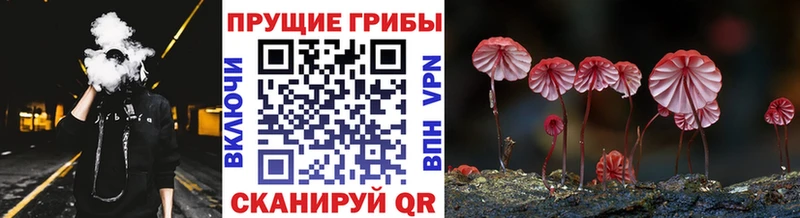 наркота  Санкт-Петербург  Псилоцибиновые грибы Magic Shrooms 