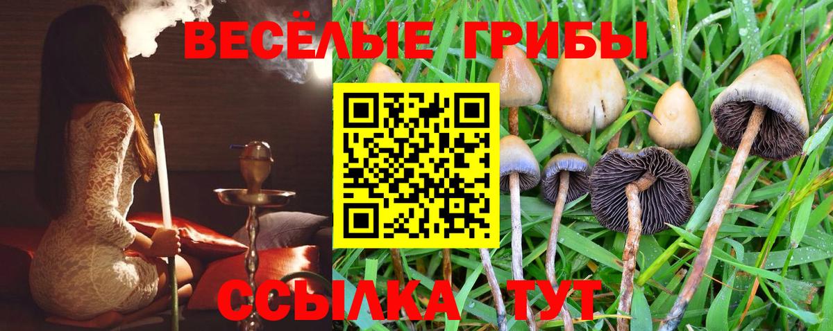 Cocaine  А ПВП  Меф  ГАШИШ  Бошки Шишки  Меф  Марихуана  Гашиш  Санкт-Петербург  LSD-25  Вход с VPN  Марки 
